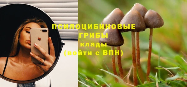 амф Баксан