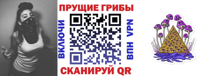 Галлюциногенные грибы Cubensis  Купить  Адыгейск 